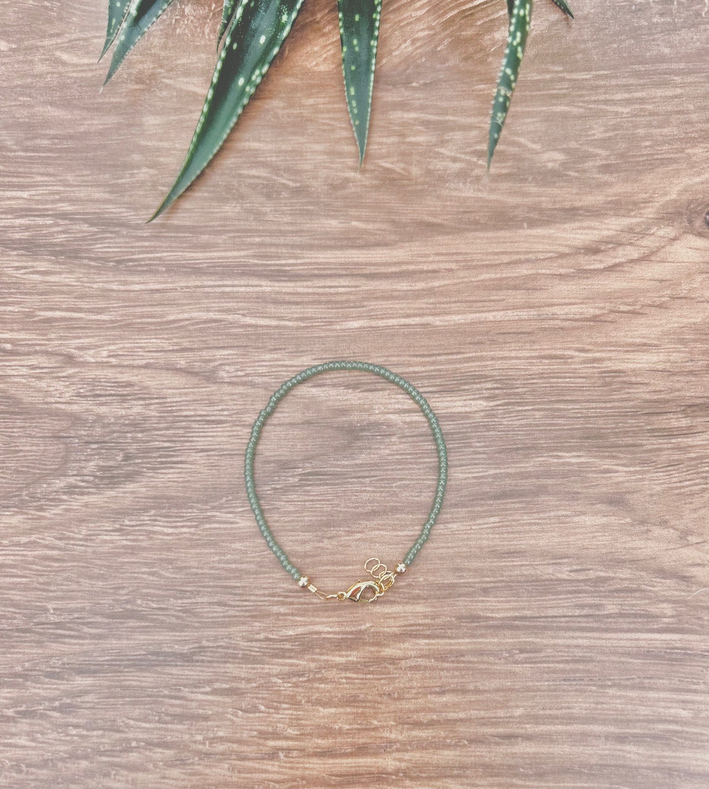 Saguaro Set