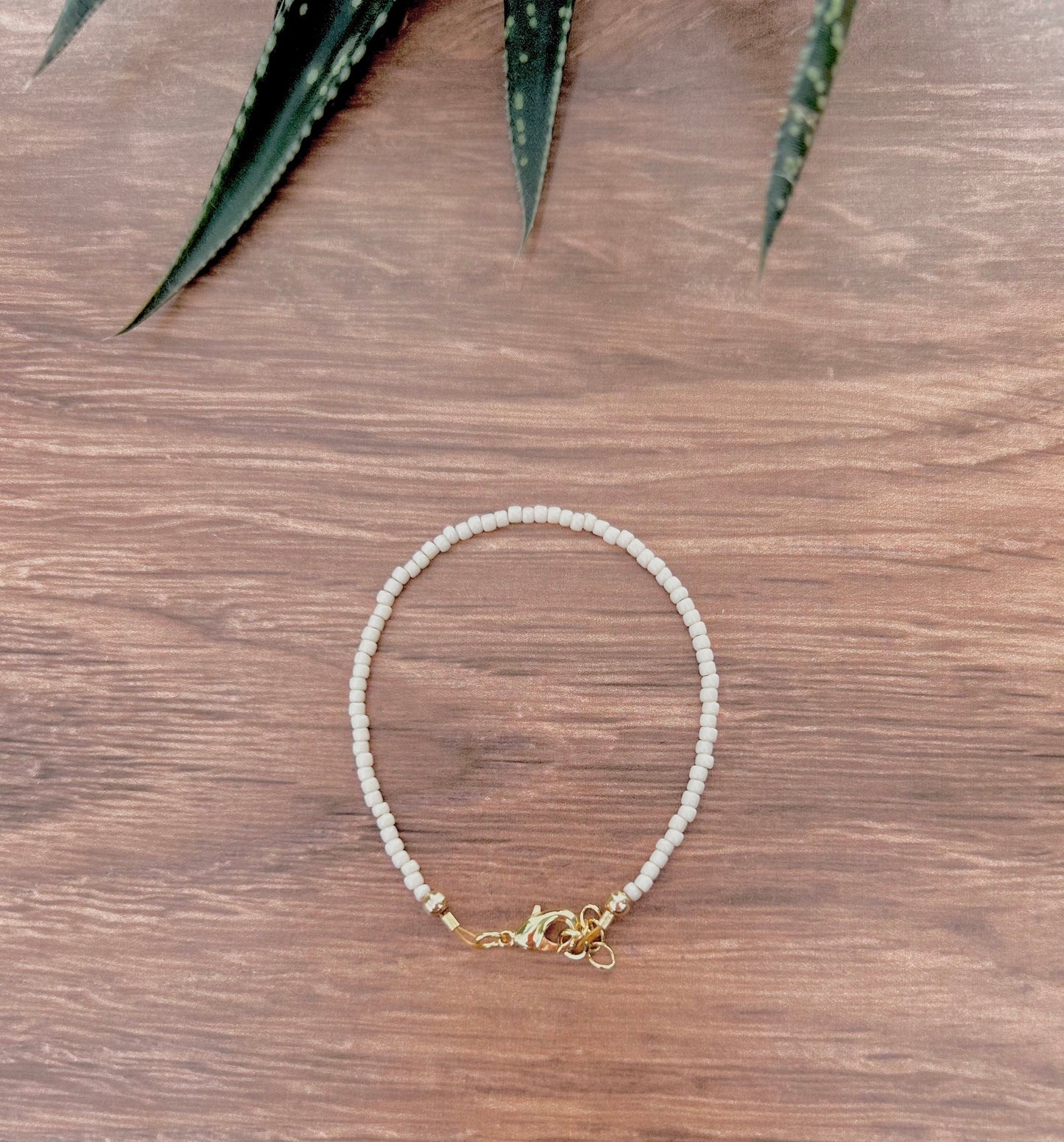 Reef Set